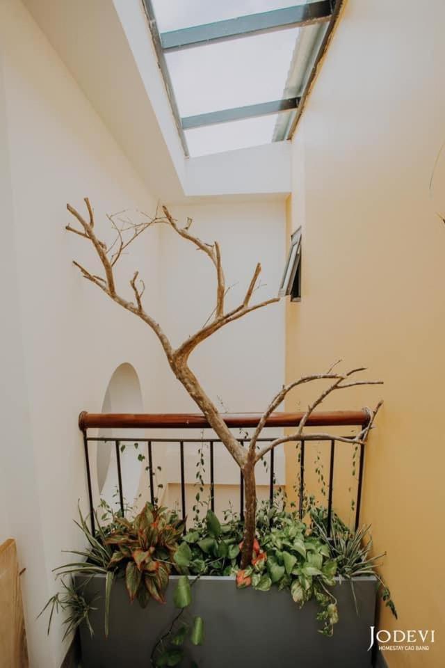 Pamela Homestay Каобанг Экстерьер фото